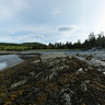 Parc national du Bic