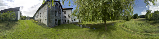 Behind the Old Mill: Willow Tree