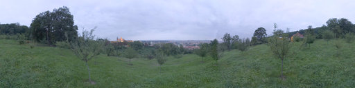 The Orchard-Stippled Hill in Petrin