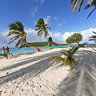 Tobago Cays - The Grenadines (Carribean)