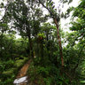 Dominica Island (Caribbean) - trip to Boiling Lake, Morne Trois Pitons National Park