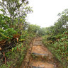 Dominica Island (Caribbean) - trip to Boiling Lake, Morne Trois Pitons National Park