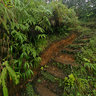 Dominica Island (Caribbean) - trip to Boiling Lake, Morne Trois Pitons National Park