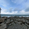 Nimis Ladonia Sweden