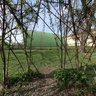 bush teepee in stromovka