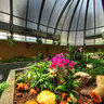 Hong Kong botanical garden greenhouse 1