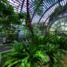 Hong Kong botanical garden greenhouse 2