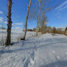 Nykulla - walk to observation tower
