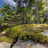 Drabske svetnicky trip