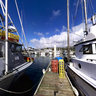 Pilla Point Harbor