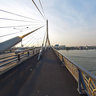 Rama 8 Bridge