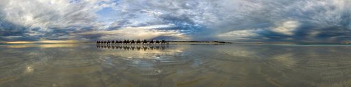 Cable Beach Camels