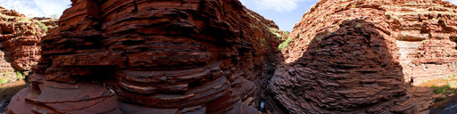 Karijini George
