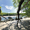 The Erme Estuary, Devon