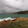 Featherbed Nature Reserve Knysna Heads