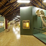 The Elephant Museum at Lebaba Camp
