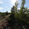 Bay near Köppmanebro