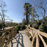 El Pont del Parc de Torreblanca