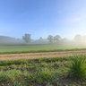 Foggy morning in fall