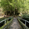Liebethaler Grund - Saxony Switzerland