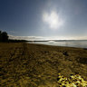 Sandbanks Beach