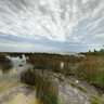 Newport State Park, Door County - Intertidal Marsh