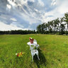 Chairs in the middle of a field, Door County, Wisconsin