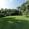Hidden Glade