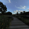Sunset on the South Pond, Lincoln Park, Chicago