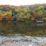 Arashiyama-kyoto-japan-Autumn-Koyo
