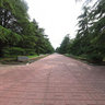 Gagarin`s park