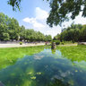 Park near Salgir