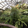 Botanical Garden Berlin green house 3