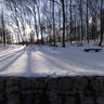 Schlachtensee South Side in Winter