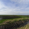 crane fields in Bodstedt