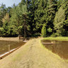 Trout ponds near Neualbenreuth