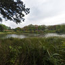 Botanical Garden Berlin