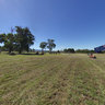 Pomonal Mower Muster 2011