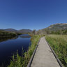Tidal River Boardwalk