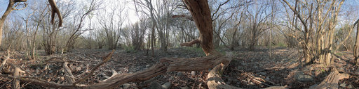 Decomposed Tree