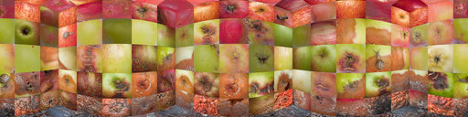 Epler