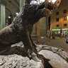 Il porcellino