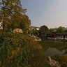 Nanjing Gazes The Garden -Wei hanting