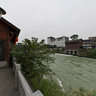 Dujiangyan Sky Nest Fish Head-2