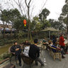 Chengdu Sam Shing Township - Happiness Merlin-4