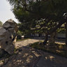 Wang-Memorial-Statue