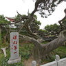 Tai Shan - Temple - the first Bo Han