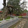 Tai'an City - Dai Temple - Han Park Hospital