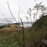Weihai Liugongdao Island View -2