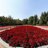 Baotou - Labor Park